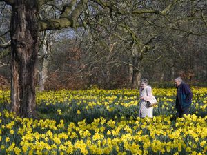 Supporting image for story: Temperatures hit record high so far this year