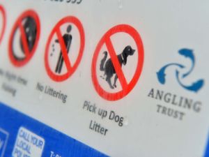 Supporting image for story: Telford and Wrekin named as one of worst areas for dog fouling - with largest increase in reports over three-year period