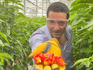 Supporting image for story