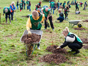 Supporting image for story: Telford manufacturer on course to plant 1,000 trees in 2023 