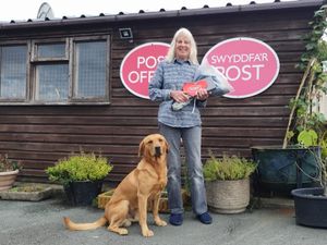 Supporting image for story: Anna marks 30 years at Post Office in Adfa 