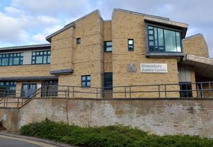 Supporting image for story