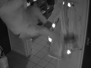 Supporting image for story: Police share ‘genius’ video of bungling burglar crashing to Earth