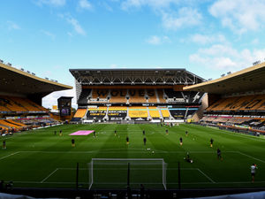 Supporting image for story: Wolves fans urged to boycott pay-per-view and support food bank