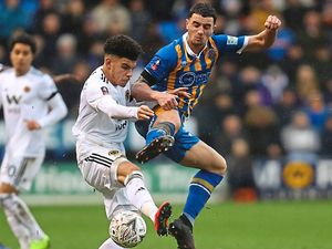 Supporting image for story: Bradford v Shrewsbury preview: Ollie Norburn admits clash is massive six-pointer