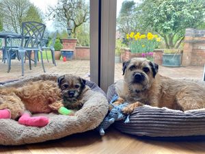 Freda home with Bert