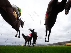 Supporting image for story: When is the Cheltenham Festival, where can you watch it and who will win?