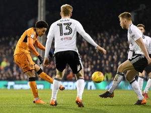 Supporting image for story: Fulham 2 Wolves 0 - Match highlights