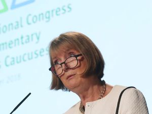 Supporting image for story: Peter Rhodes on healthy minds, secret voting and happy hunting for Harriet