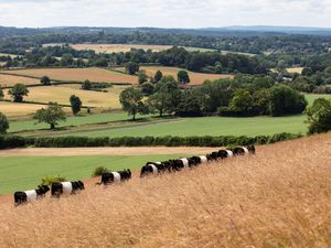 Supporting image for story: Almost half of farms do not yet have a succession plan in place ahead of inheritance tax shake-up