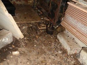 Supporting image for story: Dead rat and 'sewage smells' lead to food business ban for operator of filthy restaurant