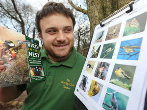 Supporting image for story: Join the Big Garden Bird Watch in Shropshire