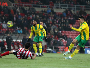 Supporting image for story: West Brom's Tom Rogic up for goal of the month for Sunderland strike