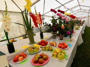 Supporting image for story: Eccleshall Show moves online