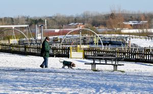 Snow arrives at Telford Town Park. Photo: Tim Thursfield