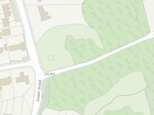 Supporting image for story: Plan for 18 ‘affordable’ homes withdrawn after impact on Telford woodland raises concerns