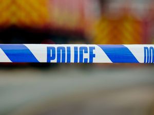 Supporting image for story: Cigarettes and alcohol stolen in convenience store burglary