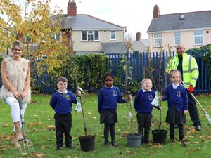 Supporting image for story: Trees planted to boost green agenda in Wolverhampton