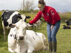 Supporting image for story: FARMING TALK: AHDB’s new knowledge exchange manager for dairy in the West Midlands 