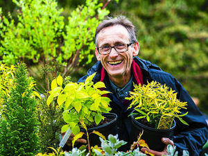 Supporting image for story: Hundreds attend popular plant fair in Market Drayton