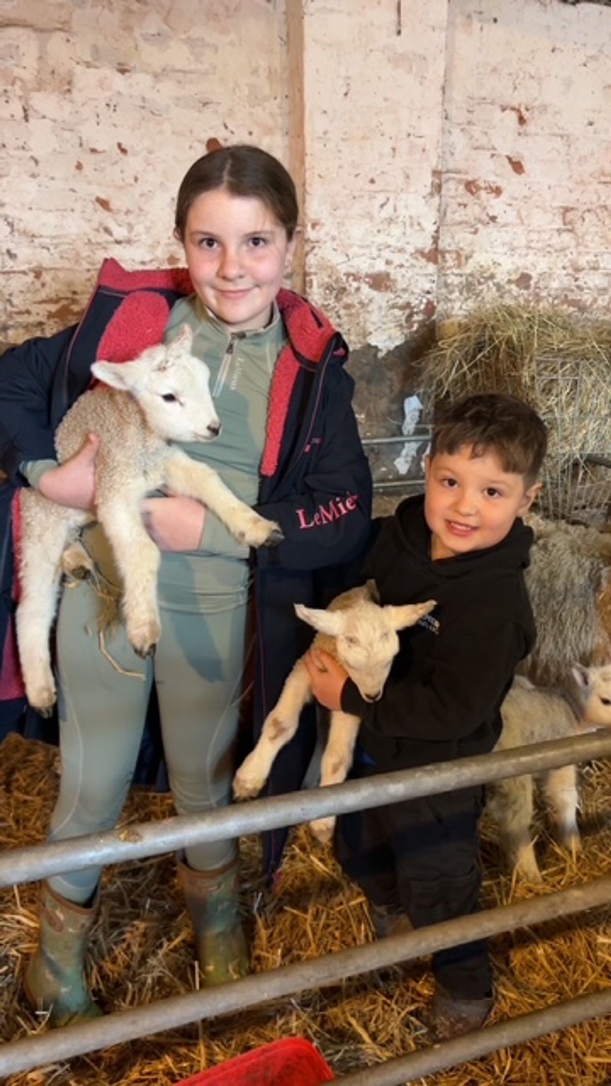 'The odds are a million to one' See the adorable quintuplet lambs born on a north Shropshire farm