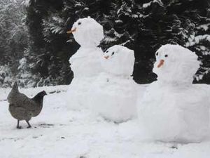 Supporting image for story: Letter: Last winter was proof of climate change