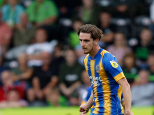 Supporting image for story: Steve Cotterill hails responses from Shrewsbury Town players