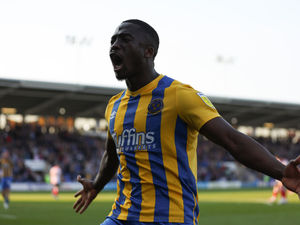 Supporting image for story: Steve Cotterill: Daniel Udoh is a real Shrewsbury professional 