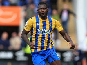 Supporting image for story: Aaron Pierre returns to Shrewsbury Town on short-term deal