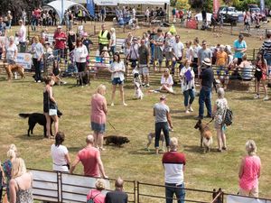 The crowds turned out for a previous Ludlow Dog Day