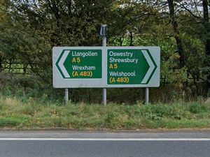 Supporting image for story: Witness appeal as driver seriously hurt in A5 crash
