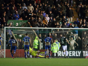 Supporting image for story: Plymouth Argyle to undertake round of Covid-19 testing ahead of Shrewsbury Town visit