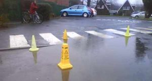Supporting image for story: You call that a wet floor?