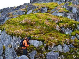 Supporting image for story: Scientists ‘shocked’ as parts of Antarctica turning green at ‘dramatic’ rate