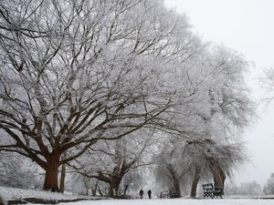 Supporting image for story: Snow and ice set to hit UK over bitterly cold weekend