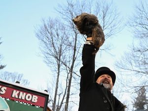 Supporting image for story: Crowds gather to see Punxsutawney Phil predict the weather on Groundhog Day