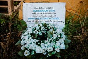 After nearly a year and a half from when they closed, the Wellmeadow Steps have been replaced
