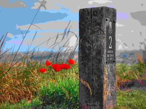 Supporting image for story: Golf courses go green in bid to boost biodiversity