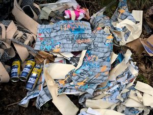 Supporting image for story: 'No wonder they got rid of it!': Appeal after 'distinctive' wallpaper fly-tipped in Telford