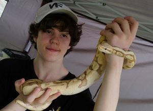 Jacob Craven, 13, with a four year –old Royal Python called Houdini on Craven’s Crawlies stand. Andy Compton image