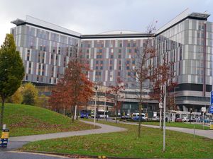 Supporting image for story: Health board denials ‘severely impacted’ work of hospitals inquiry, counsel says