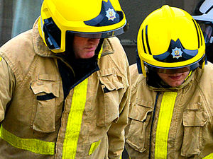 Supporting image for story: Cows get stuck in Market Drayton canal