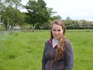 Supporting image for story: Green energy vital to country estate, says new administrator 