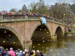 Supporting image for story: Bewdley goes quackers for annual New Year's Day Duck Race - with PICTURES and VIDEO