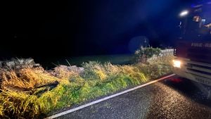 Damage to the wall after the car collided with it. Photo: Oswestry Fire Station