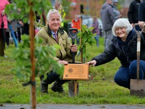 Supporting image for story: Big Help Out volunteers plant community coronation orchard in Newport