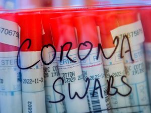 Supporting image for story: Coronavirus testing in Shropshire: What you need to know

