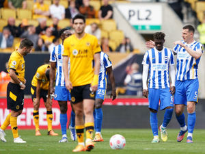 Supporting image for story: Wolves Fans' Verdict v Brighton: An embarrassing display!