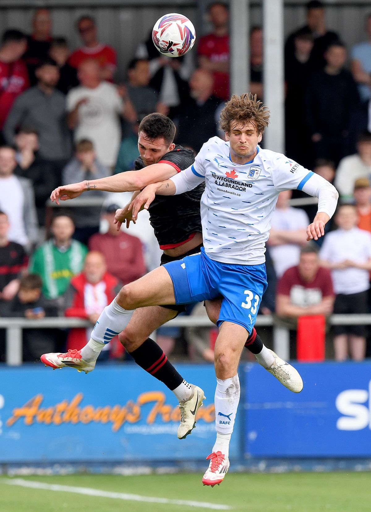 Walsall complete signing of Scottish frontman from Stevenage