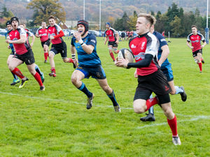 Supporting image for story: Walsall see off Shrewsbury